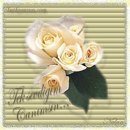 sevgiliye035.jpg (55671 bytes)